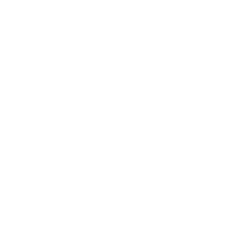 BoneyLMS